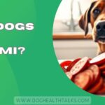 Can Dogs Eat Salami?