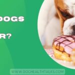 Can Dogs Eat Sugar?