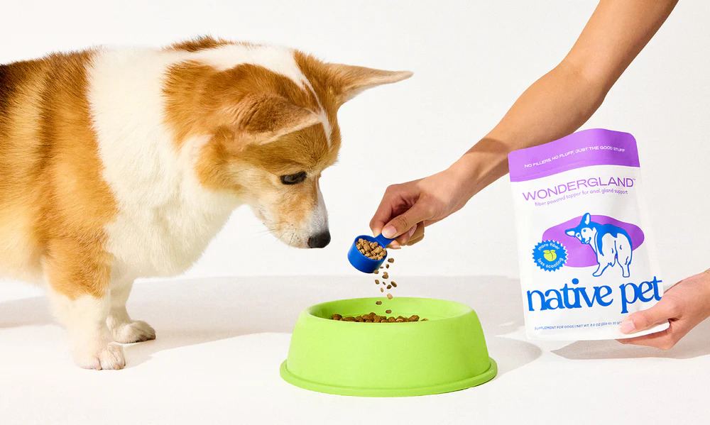 Foods to Help Dog Anal Glands