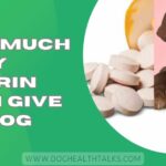 How Much Baby Aspirin Can I Give My Dog