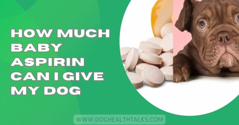 How Much Baby Aspirin Can I Give My Dog