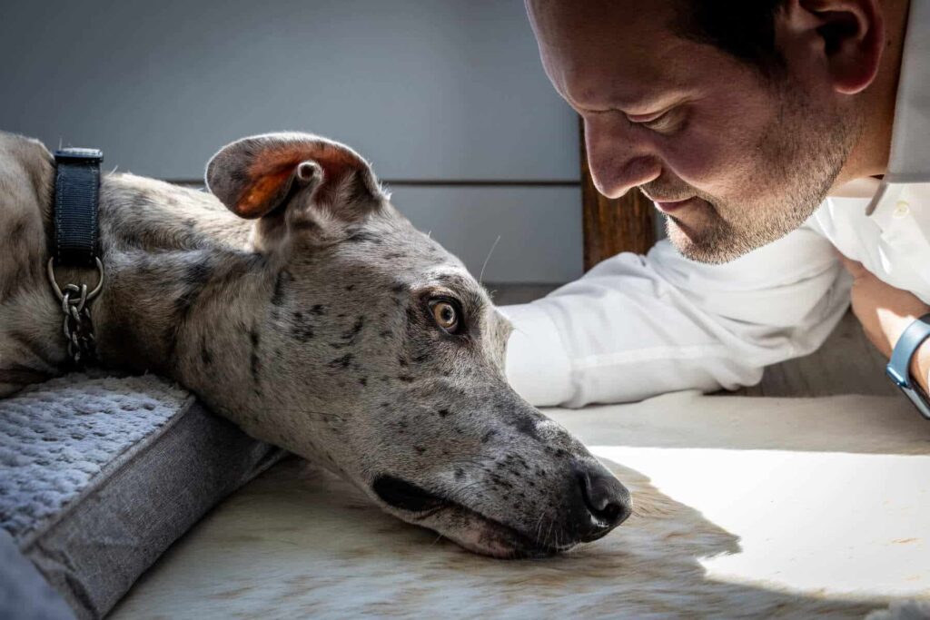 How To Prepare If You Choose Euthanasia