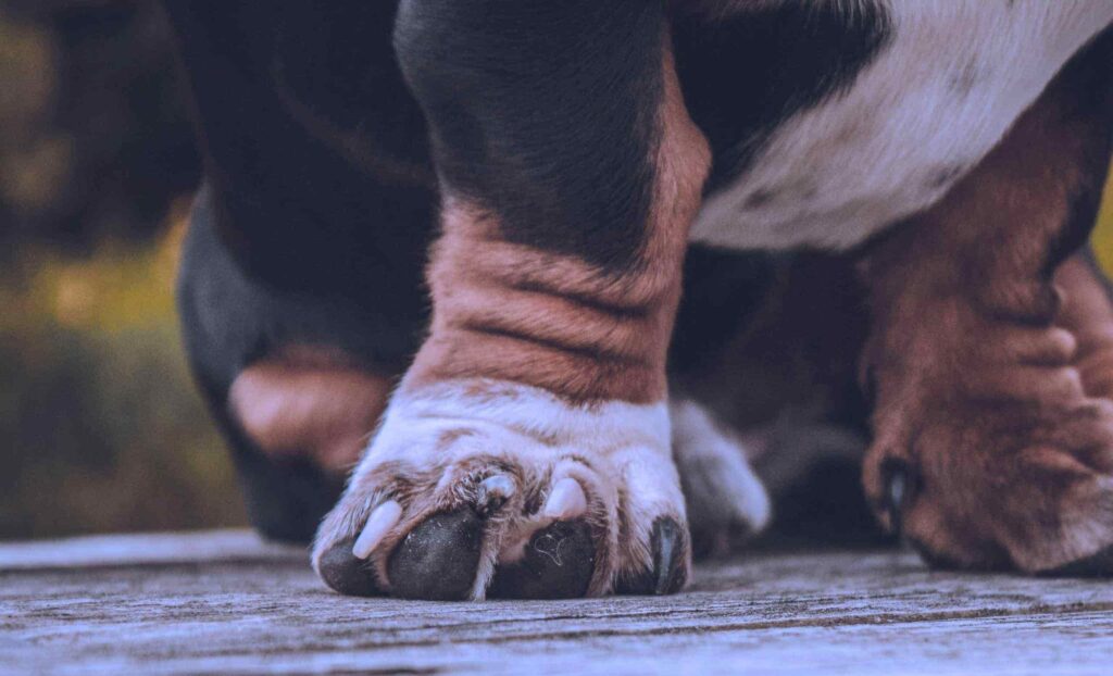 How to Prevent Nail Discoloration & Injuries