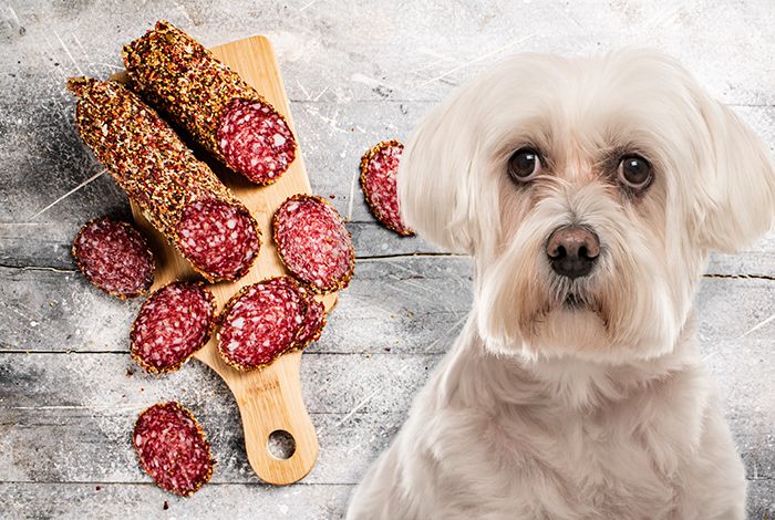 What About the High-Fat Content of Salami?