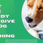 What Home Remedy Can I Give My Dog For Coughing