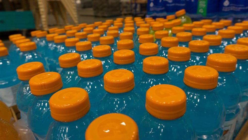 Why You Might Be Tempted to Give Gatorade to Your Dog