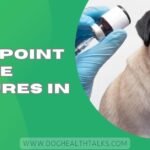 Can Cytopoint Cause Seizures In Dogs