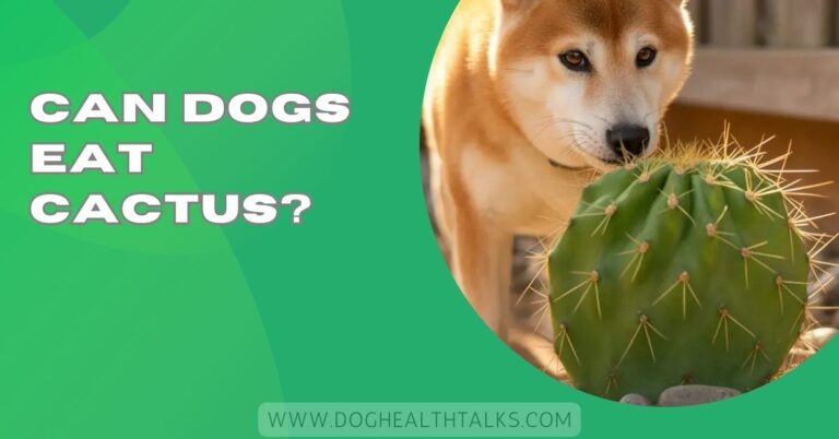 Can Dogs Eat Cactus? – Signs, Dangers, and Prevention!