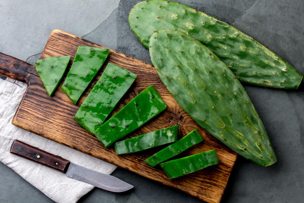 Can Dogs Eat Nopales