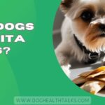 Can Dogs Eat Pita Chips?