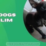 Can Dogs Eat Slim Jims