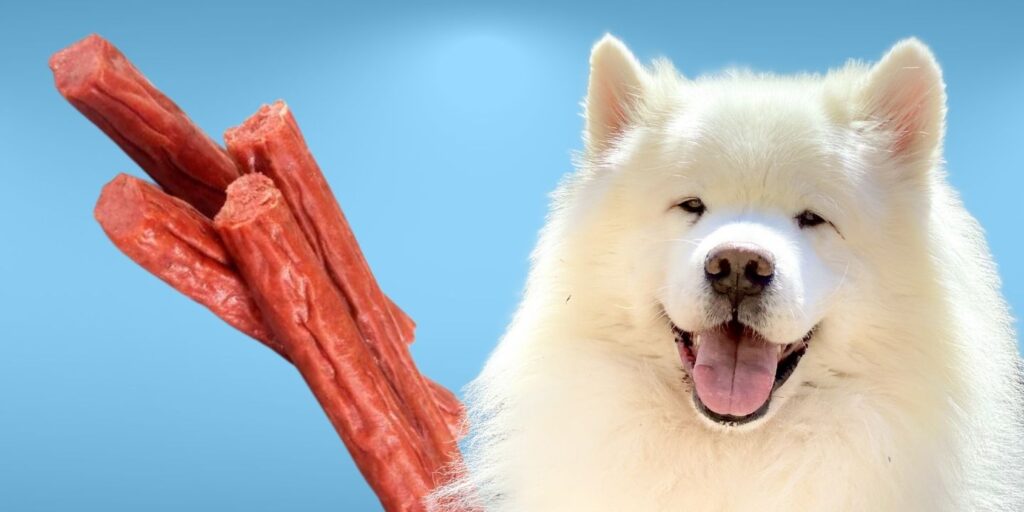Can Dogs Eat Slim Jims Every Day?