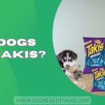Can Dogs Eat Takis?
