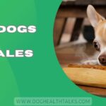 Can Dogs Eat Tamales