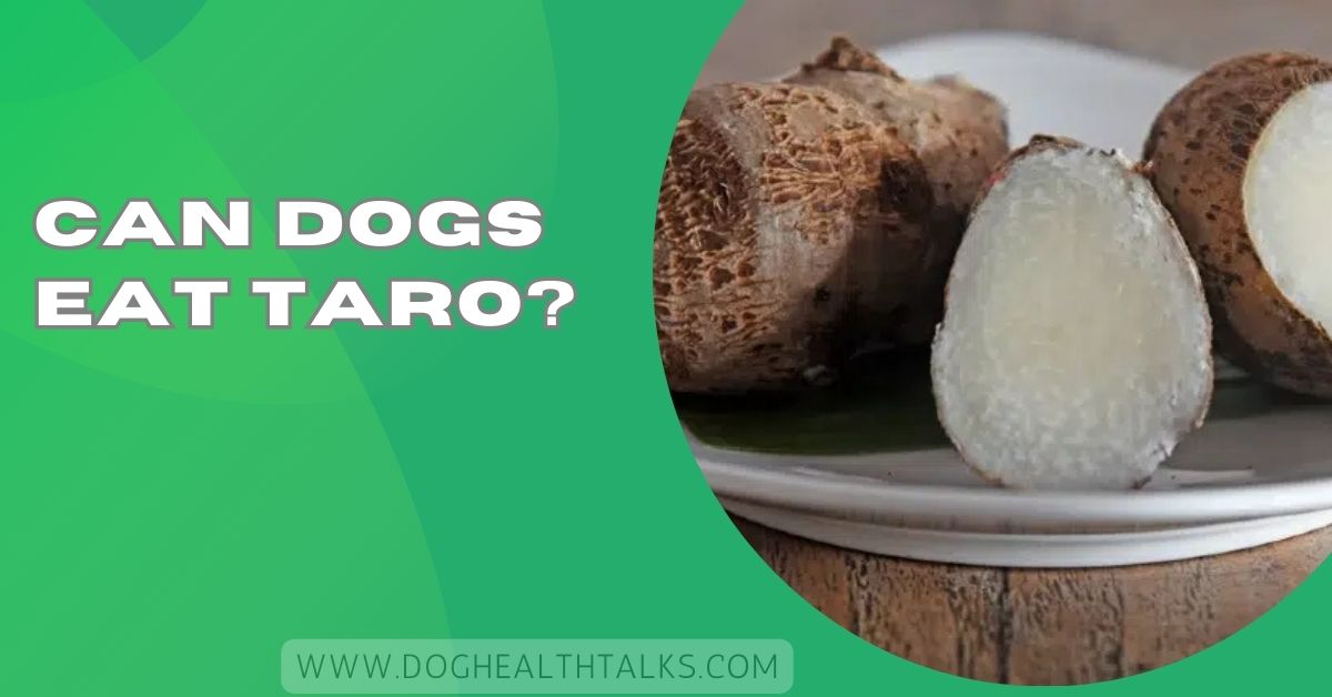 Can Dogs Eat Taro?