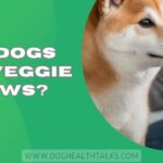 Can Dogs Eat Veggie Straws?