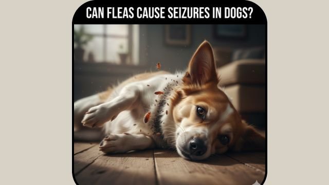 Can Ticks Cause Seizures in Dogs