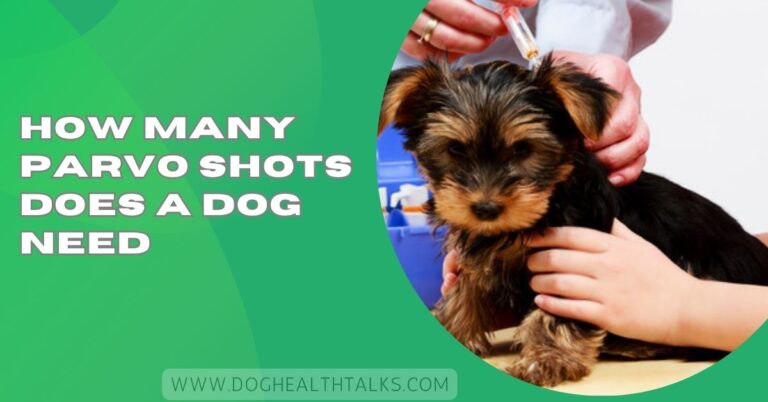 How Many Parvo Shots Does a Dog Need – 2025 Health Guide!