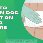 How to Clean Dog Vomit on Wood Floors