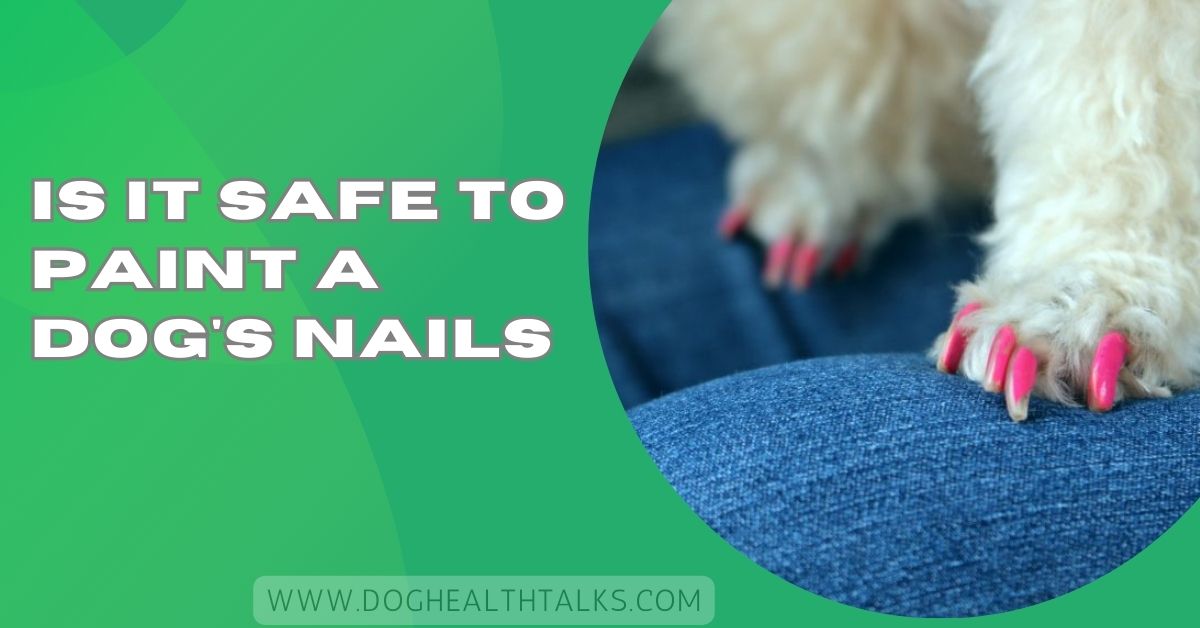 Is It Safe To Paint A Dog's Nails