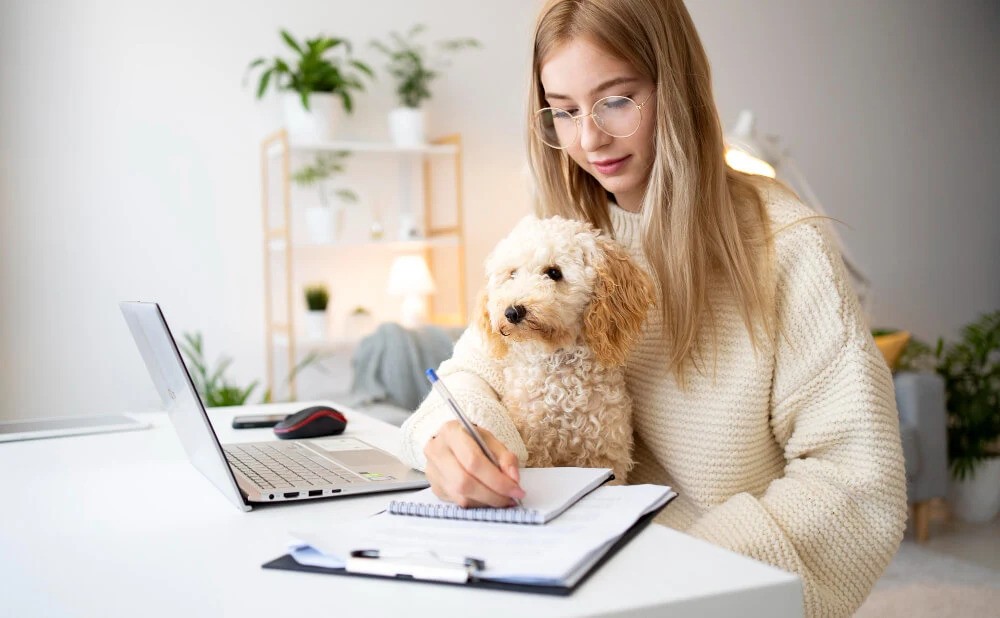 Understanding Dog Age Calculation