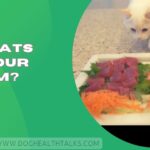 Can Cats Eat Sashimi?