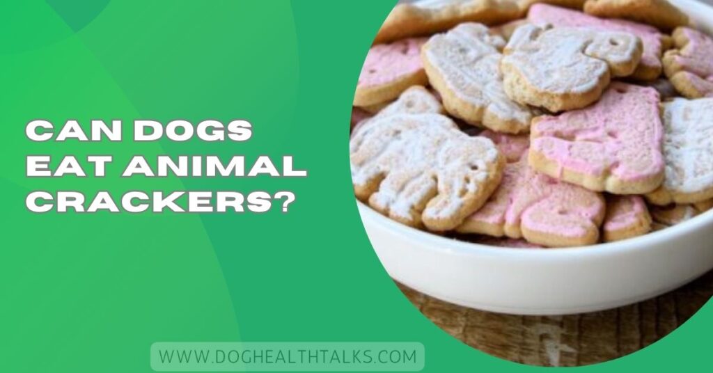 Can Dogs Eat Animal Crackers?