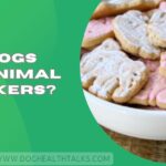 Can Dogs Eat Animal Crackers?