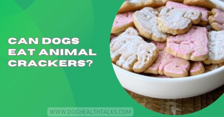 Can Dogs Eat Animal Crackers?