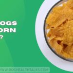 Can Dogs Eat Corn Chips?