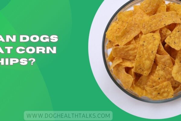 Can Dogs Eat Corn Chips?