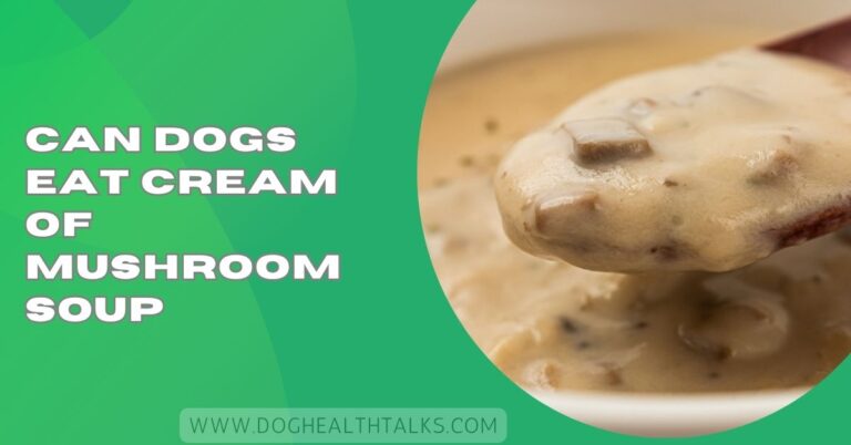 Can Dogs Eat Cream Of Mushroom Soup