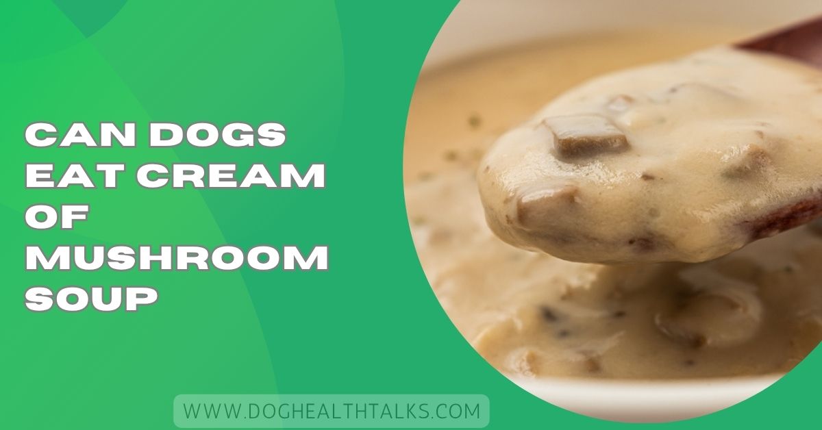 Can Dogs Eat Cream Of Mushroom Soup