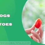 Can Dogs Eat Tomatoes​