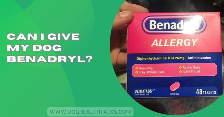Can I Give My Dog Benadryl?
