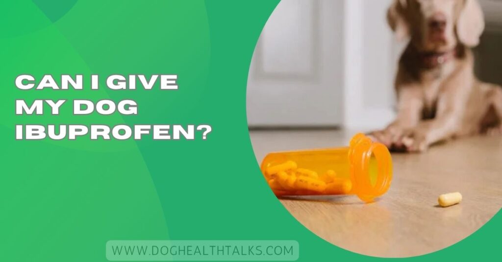 Can I Give My Dog Ibuprofen​