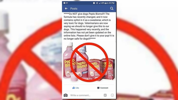 Can I Give My Dog Pepto Bismol