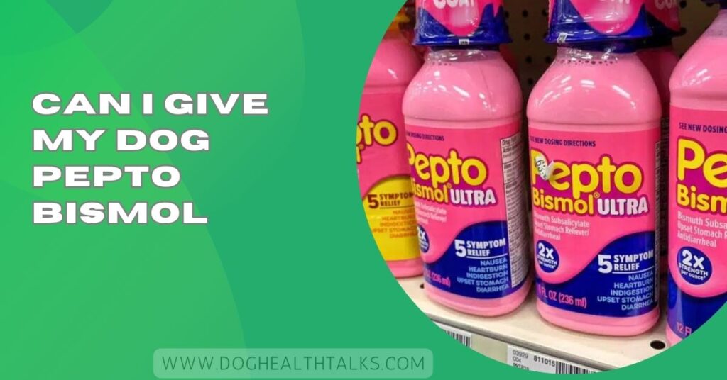Can I Give My Dog Pepto Bismol​