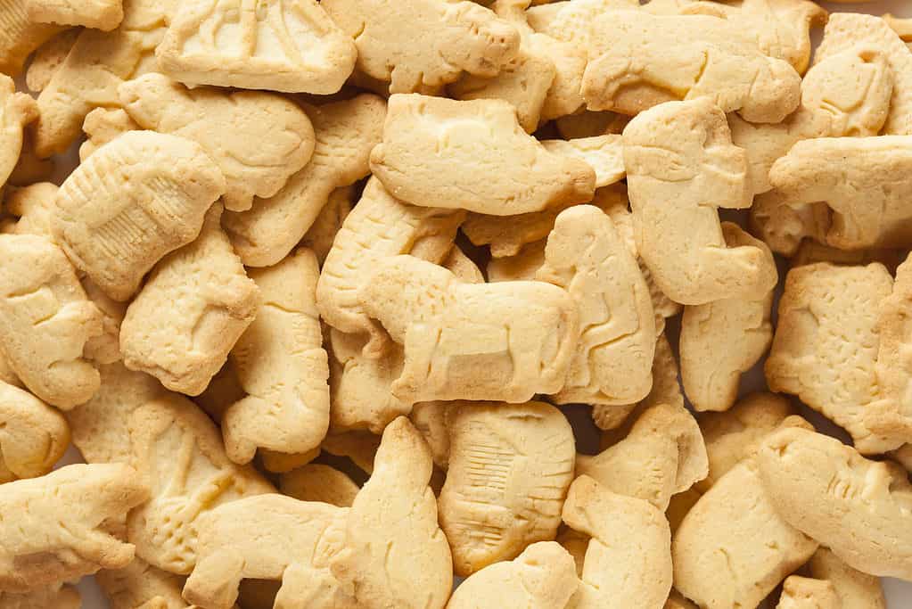 Do Animal Crackers Have Xylitol