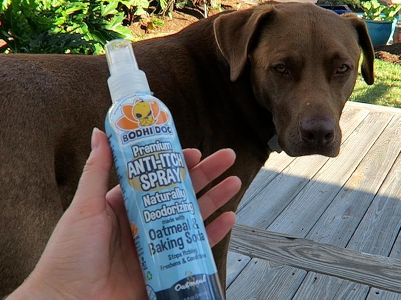Homemade Dog Anti-Itch Spray