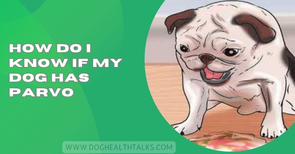 How Do I Know If My Dog Has Parvo