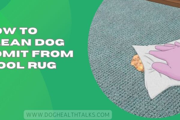 How To Clean Dog Vomit From Wool Rug