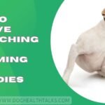 How To Relieve Dog Itching After Grooming Home Remedies