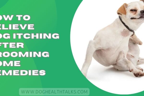 How To Relieve Dog Itching After Grooming Home Remedies