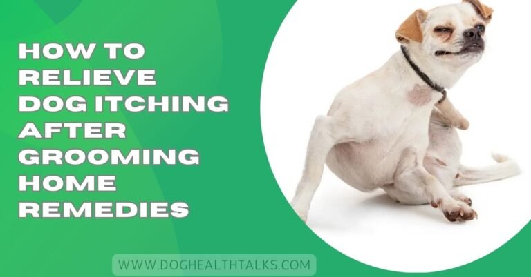 How To Relieve Dog Itching After Grooming Home Remedies