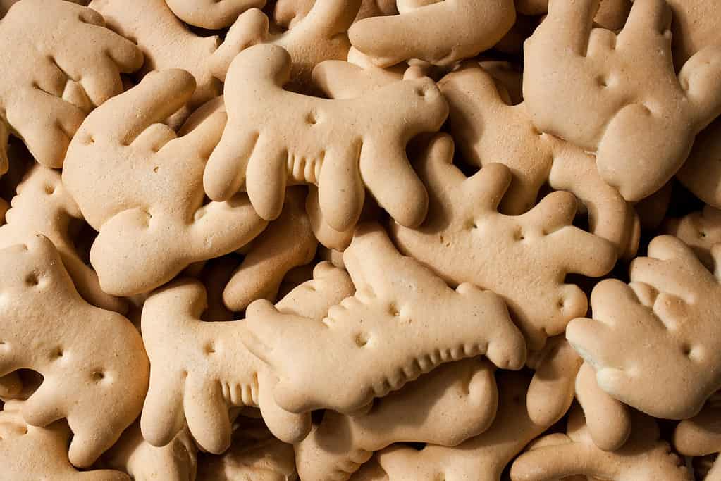 How to Safely Give Animal Crackers to Dogs
