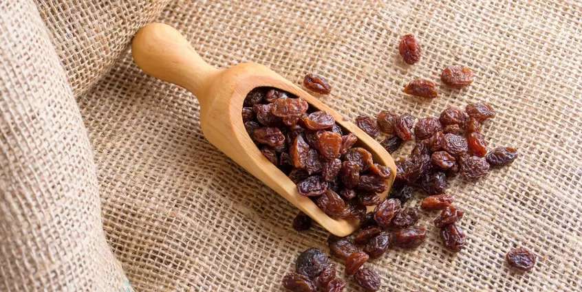 Why Raisin Toxicity Happens