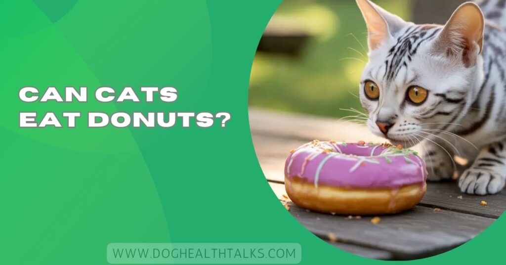 Can Cats Eat Donuts?