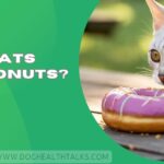 Can Cats Eat Donuts?