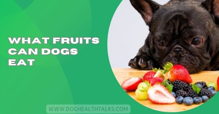 What Fruits Can Dogs Eat